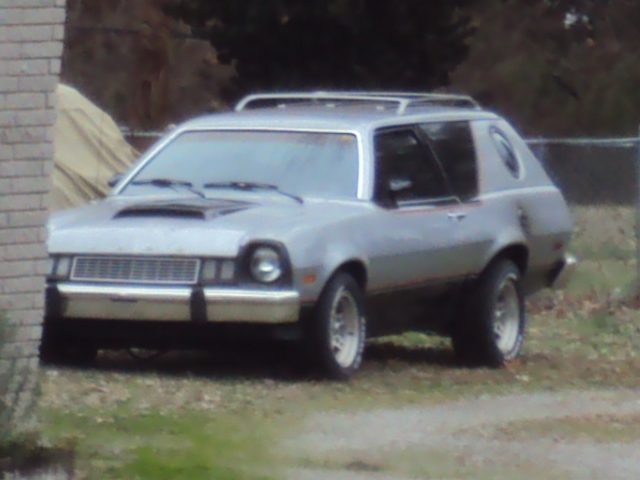 Pintos 002.JPG